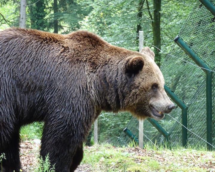 Wild- Und Freizeitpark